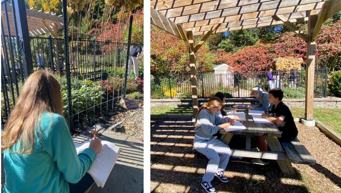 garden writing